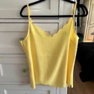 Silk Ted Baker Camisole